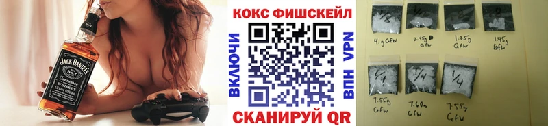 КОКАИН Fish Scale  Купить где  Каменск-Шахтинский 