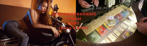 гидропоника Ельня