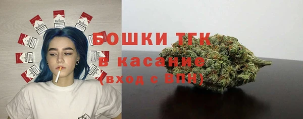 ECSTASY Елизово