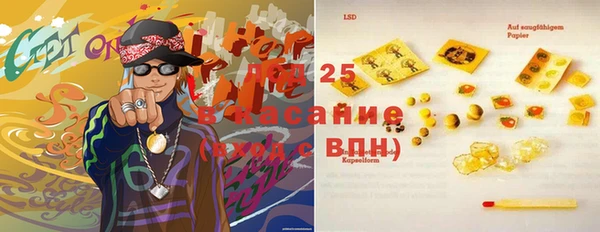 ECSTASY Елизово