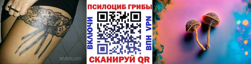 Купить где  Каменск-Шахтинский  Псилоцибиновые грибы GOLDEN TEACHER 
